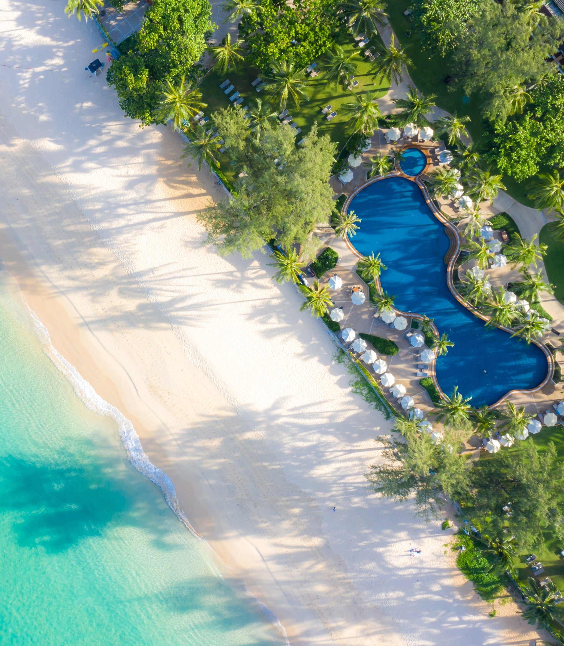 Business intelligence — the property seen clearly from above